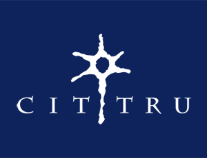 Logo CITTRU Centrum Transferu Technologii neuron